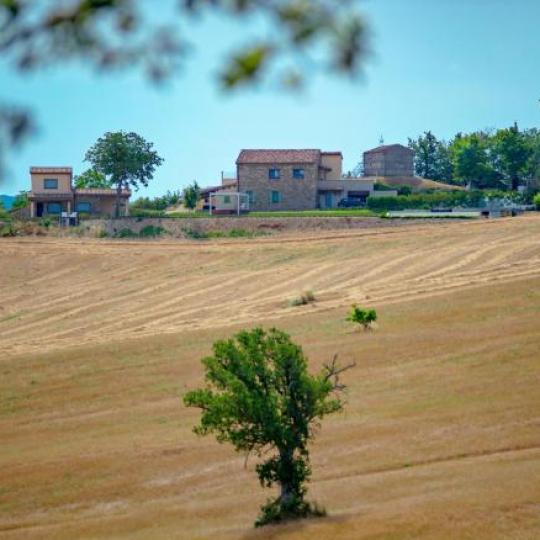 Affitta tutta la struttura Affitta tutta la struttura