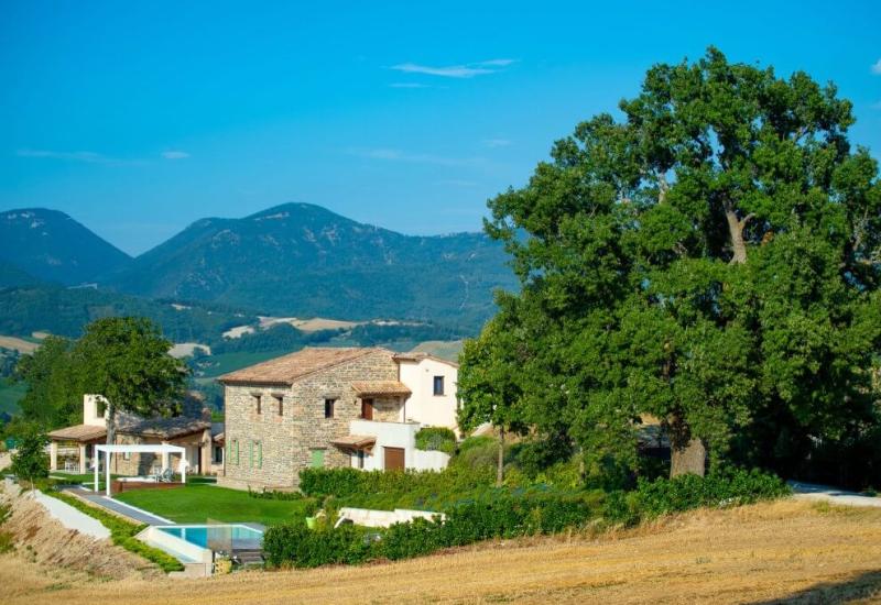 serrealte it home 020